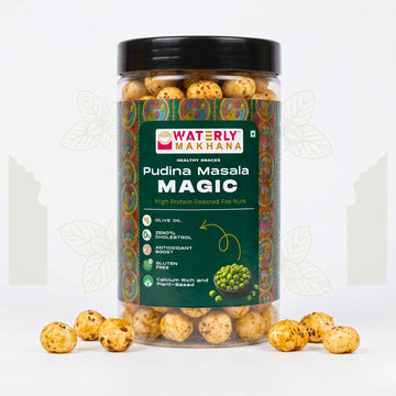 Zesty & Minty Pudina Masala Magic